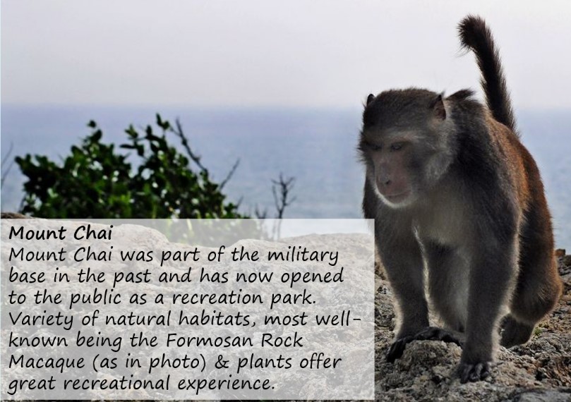 (Monkey in Mount Chai)